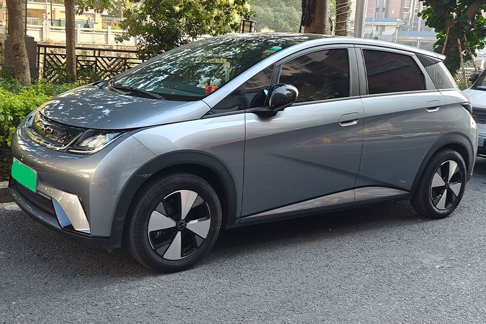 BYD Dolphin — установка SAVANINI