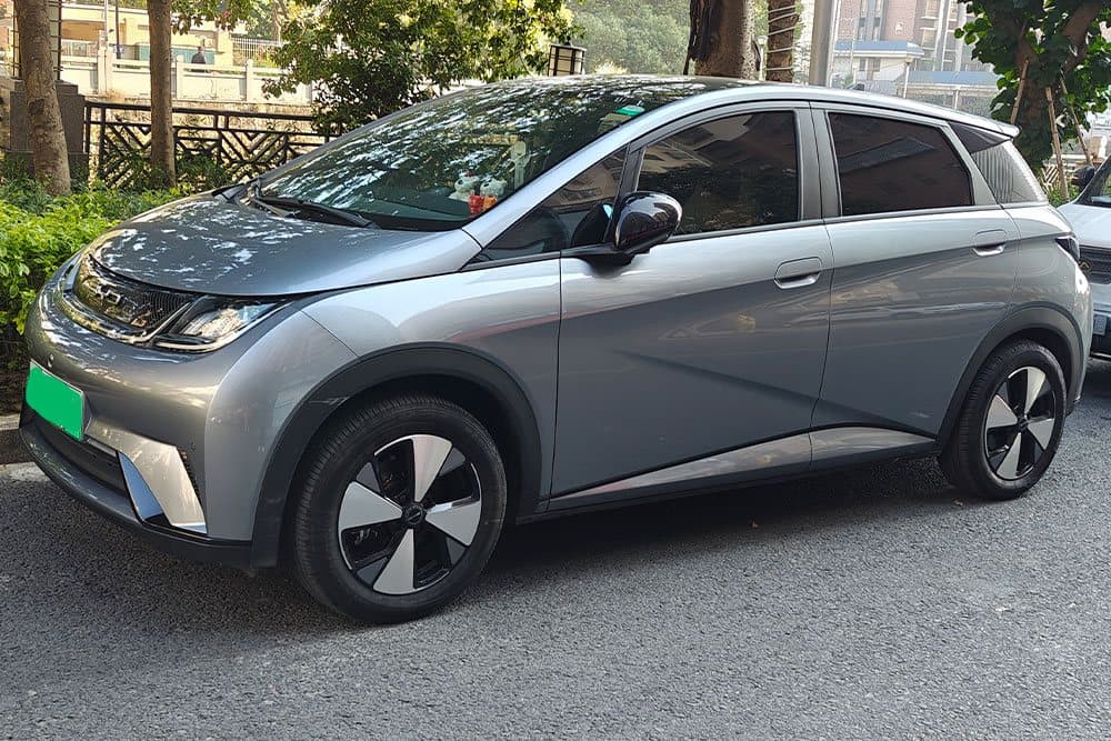 BYD Dolphin — установка SAVANINI — фото 4