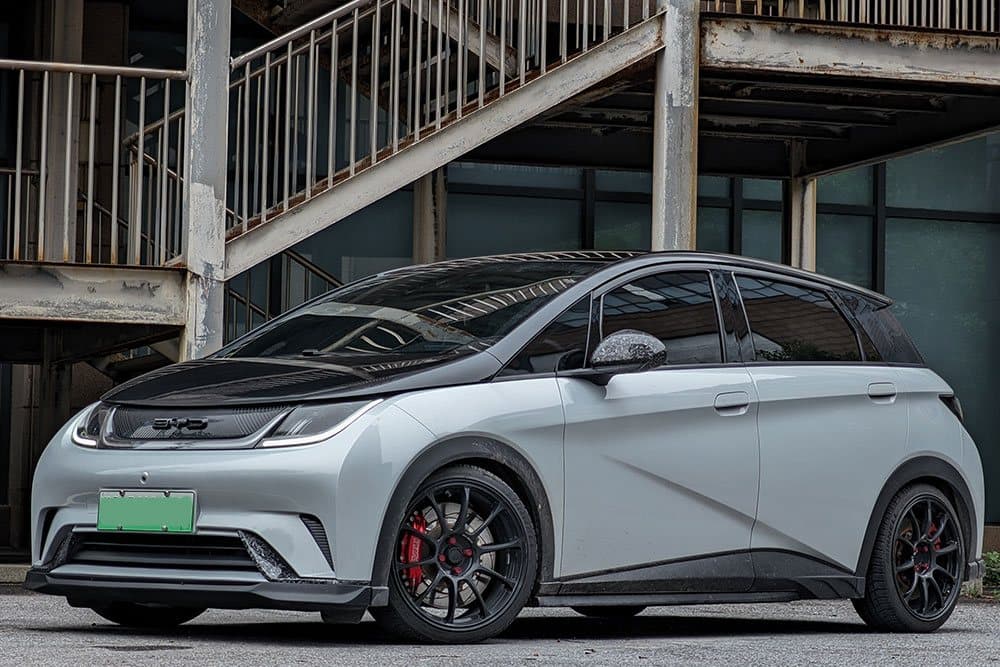 BYD Dolphin с тормозным комплектом SAVANINI