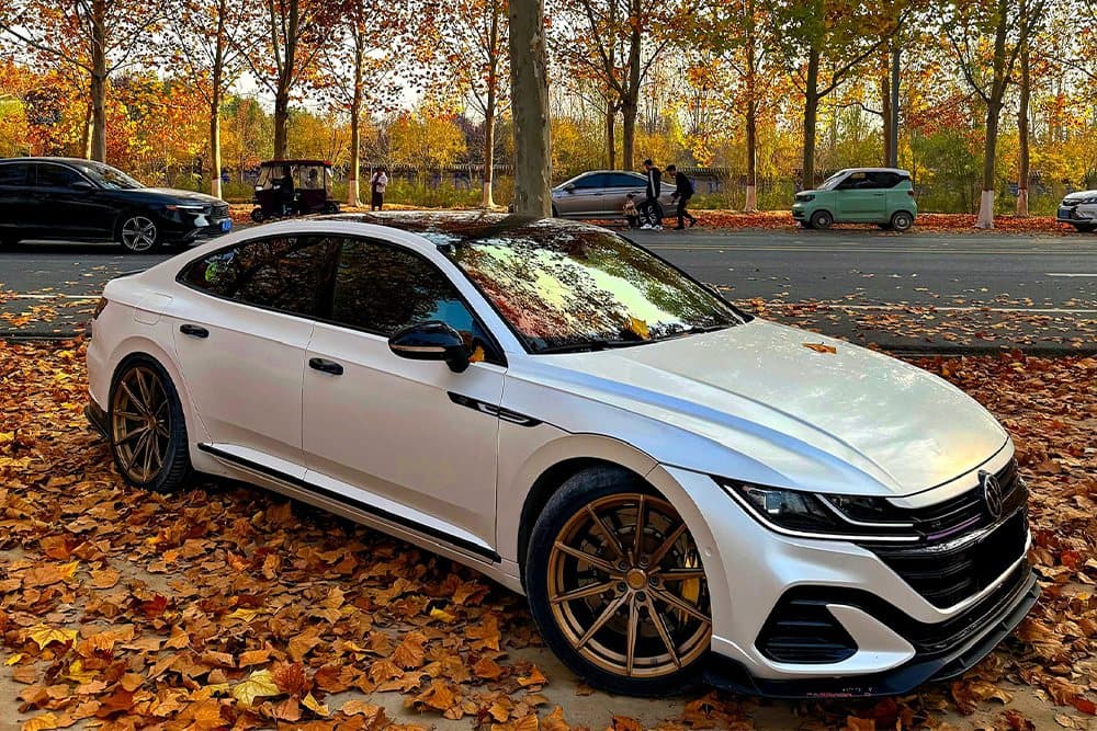 Volkswagen CC — установка SAVANINI — фото 2