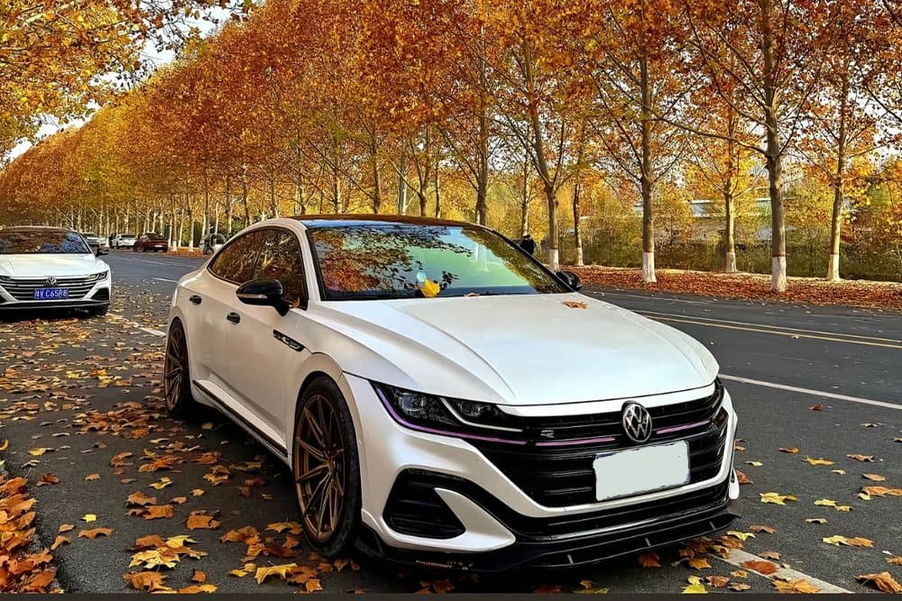 Volkswagen CC — установка SAVANINI — фото 3